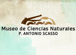 Museo.Scasso