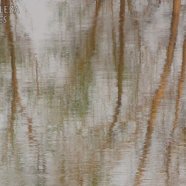 Pintura al agua I (reflejos)