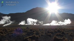 3001 - GEISER DEL TATIO