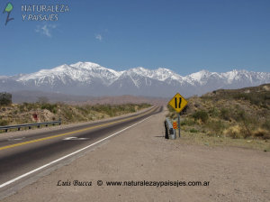 OESTE Y CUYO