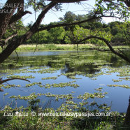 Laguna Florida - Reserva Aguiar - San Nicolás