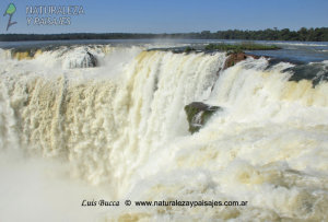 CATARATAS DEL IGUAZÚ