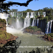 Salto San Martín